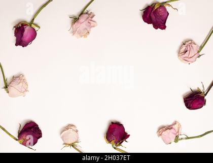 image de sensibilité de dix roses sèches, roses et rouges sur fond blanc.La beauté des fleurs s'estompe.Présentation d'un produit de beauté. Banque D'Images