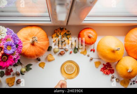 Aménagement d'automne avec une tasse de thé au citron, citrouilles, feuilles jaunes séchées, bouquet de fleurs d'automne, baies roses guelder,glands, et châtaignes sur bac blanc Banque D'Images