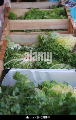 Endives fraîches, laitue, légumes en caisses sur un marché agricole en France Banque D'Images