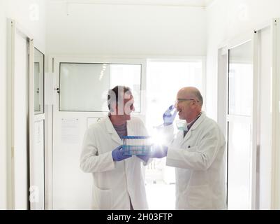 Deux collègues communiquent et rient tout en tenant des échantillons dans des tubes à essai en laboratoire Banque D'Images