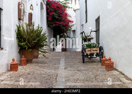 L'une des rues joliment décorées typiques de Vejer de la Frontera, une ville touristique dans le sud de l'Espagne Banque D'Images
