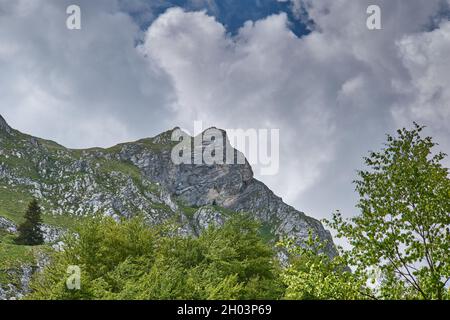 Scorota Sheepfold dans Retezat montagne avec pic forêt bleu ciel Banque D'Images