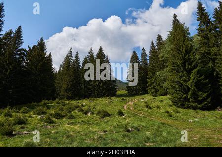 Scorota Sheepfold dans Retezat montagne avec pic forêt bleu ciel Banque D'Images