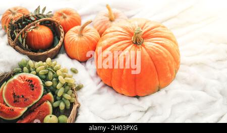 Pastèque aux raisins dans un panier à côté des citrouilles sur un tissu écossais blanc Banque D'Images