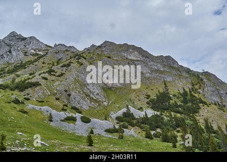 Scorota Sheepfold dans Retezat montagne avec pic forêt bleu ciel Banque D'Images