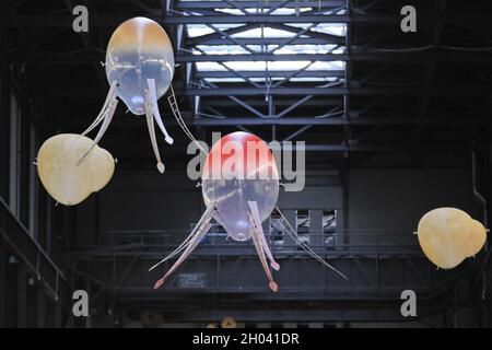 Tate Modern, Londres, Royaume-Uni.11 octobre 2021.La nouvelle installation, appelée « In Love with the World », comprend des machines flottantes appelées aérobies.L'artiste Anicka Yi a créé son projet le plus important et le plus ambitieux à ce jour dans le Hall turbine de Tate Modern pour la prestigieuse Commission Hyundai.Les travaux seront exposés au Tate du 12 octobre 2021 au 16 janvier 2022.Credit: Imagetraceur/Alamy Live News Banque D'Images