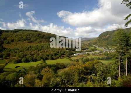 Corris de la forêt de Dyfi, Gwynedd Banque D'Images