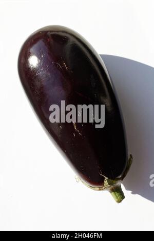 Aubergine, également appelée aubergine, sur fond blanc. Banque D'Images