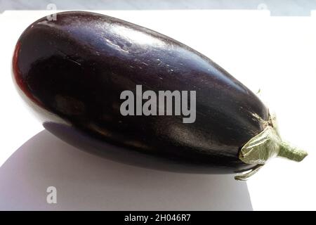 Aubergine, également appelée aubergine, sur fond blanc. Banque D'Images