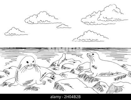 Seal Cliff mer côte graphique noir blanc paysage esquisse illustration vecteur Illustration de Vecteur