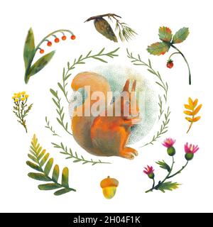 Illustration raster sur le thème de la forêt.L'écureuil au gingembre est entouré de plantes et de fleurs.Composition circulaire décorative pour le design. Banque D'Images