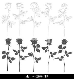 Jeu d'illustrations noir et blanc avec roses.Objets vectoriels isolés sur fond blanc. Illustration de Vecteur