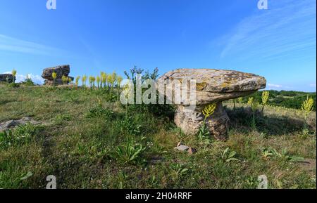 Les champignons Dobrovan Stone sont des formations rocheuses bizarres situées dans la Stara Planina orientale, à environ 10 km du village de Sini RID, en Bulgarie Banque D'Images