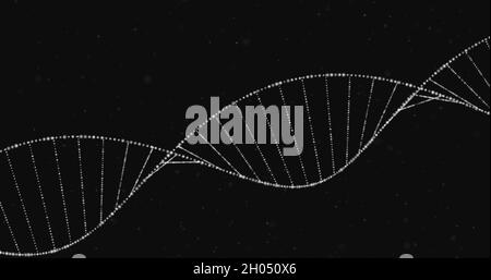 Image de la structure de l'ADN sur fond noir Banque D'Images