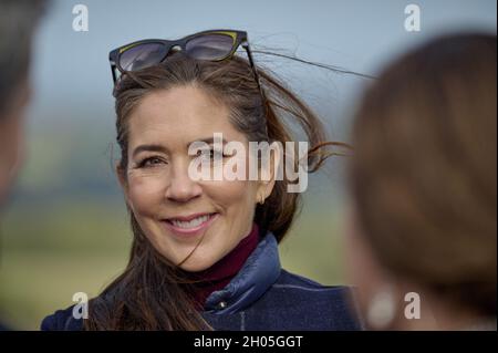 Haslev, Danemark, le 11 octobre 2021, le couple de prince héritier danois, le prince héritier Frederik et la princesse Marie se rendent dans la petite ville danoise de Haslev à l'occasion de la célébration du 150e anniversaire de la ville, à Haslev, Danemark, le 11 octobre 2021.Ils ont également visité la « Tour de la forêt ».La tour forestière de 45 mètres de haut dans la forêt de Gisselfeld Kloster est une expérience unique de la nature, où vous voyez la forêt dans des perspectives complètement nouvelles.Photo de Stefan Lindblom/Stella Pictures/ABACAPRESS.COM Banque D'Images