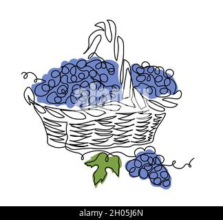 Vendange dans le panier.Esquisse vectorielle simple, illustration en forme de doodle.Un dessin d'art en ligne continu de la récolte de raisin bleu.Design minimaliste Illustration de Vecteur