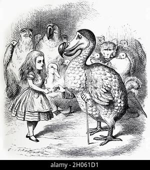 Illustration de Vinatage Alice in Wonderland par John Tenniel après l'histoire de Lewis Carols à travers le verre Banque D'Images