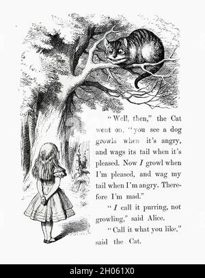 Illustration de Vinatage Alice in Wonderland par John Tenniel après l'histoire de Lewis Carols à travers le verre Banque D'Images