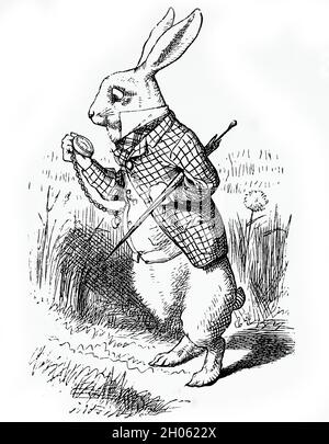 Illustration de Vinatage Alice in Wonderland par John Tenniel après l'histoire de Lewis Carols à travers le verre Banque D'Images