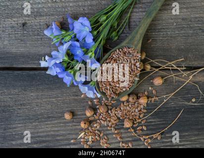 composition de fleurs de lin et de suchara avec graines Banque D'Images