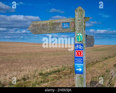 Un panneau en bois indique la route du cycle national du Royaume-Uni 1 et la route Coast and Castles à Northumberland, au Royaume-Uni.Derrière l'affiche se trouve un champ de cr Banque D'Images