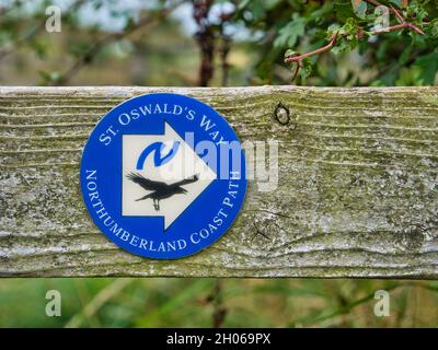 Un panneau circulaire, bleu et blanc fixé à une caille de bois abîmé indique le chemin de St Oswald et le chemin de la côte de Northumberland, dans le nord-est de l'est Banque D'Images