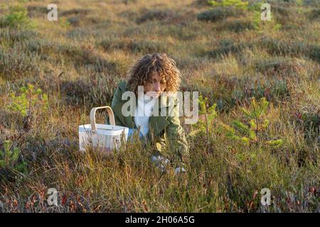 Jeune femme dans la tranchée à la mode cueillant des baies sur les marais d'automne tenant le panier blanc avec des canneberges Banque D'Images