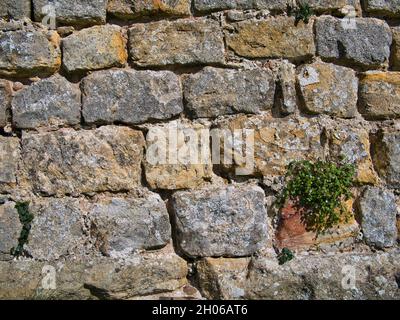 Rangées de vieux blocs de pierre dans un mur ancien.Pris un jour ensoleillé. Banque D'Images