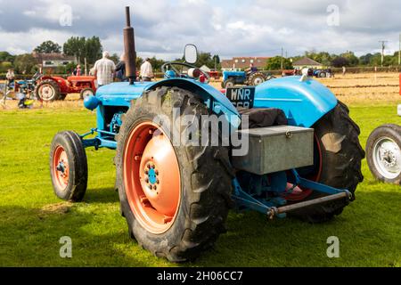 A 1960 Fordson Dexta Vintage Tractor, N° d'enregistrement : WNR 669, au match de labour de Chew Stoke, Bristol UK 19-09-2021. Banque D'Images