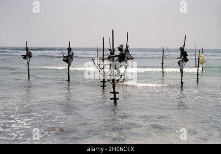 SRI LANKA: Les pêcheurs de Tangalle suspendus au-dessus de la mer de la façon dont ils font leur technique traditionnelle pour attraper les poissons sur les poteaux Banque D'Images