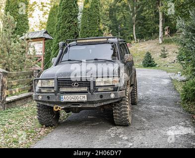 Vieux vus Lexus dans les bois. Banque D'Images