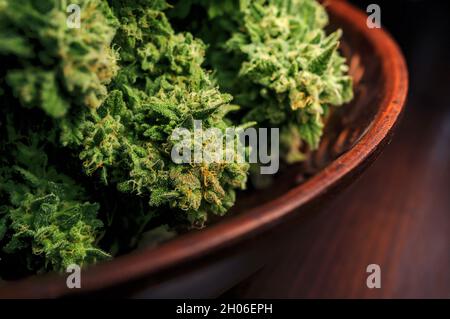 Séchage de fleurs naturelles de marijuana gros plan. Culture du cannabis, temps de récolte. Herbe coupée dans un plat rond isolé sur fond noir. Banque D'Images