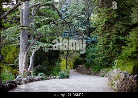 A road deep into the forest. Happy end is waiting for us at the end of any path. Banque D'Images