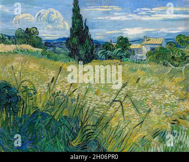 Champ de blé vert Vincent van Gogh avec Cypress (1889). Banque D'Images