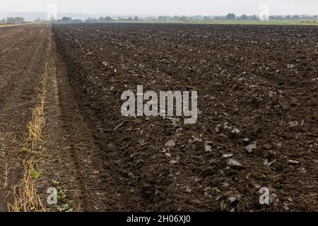 champ de terre fraîchement labouré dans la matinée brumeuse - vue grand angle étroite avec tranchant bord à bord Banque D'Images