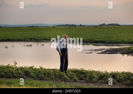 Éleveur senior dans des salopettes à côté de la zone d'inondation sur le terrain.Catastrophes naturelles dans l'agriculture Banque D'Images