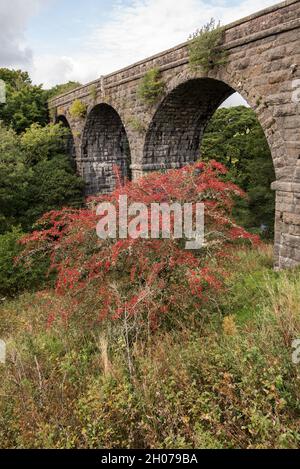 Appersett Viaduc du Sud-est Banque D'Images