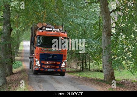 Un HGV d'un entrepreneur de transport transportant des billes sur une voie de campagne à travers la forêt dans les Highlands écossais Banque D'Images