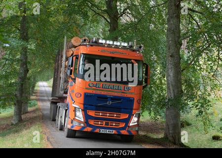 Un camion C & K Marr Ltd transportant des grumes le long d'une route à voie unique à travers une forêt sur le domaine d'Invercauld dans le parc national de Cairngorms Banque D'Images