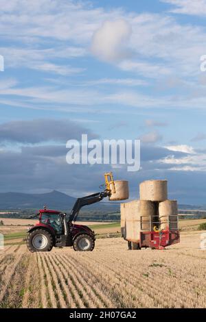 Vue sur un champ récemment moissonné vers Bennachie, avec un tracteur plaçant une balle ronde de paille sur une remorque chargée dans le premier sol Banque D'Images