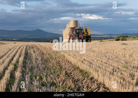 Vue sur un terrain de Stubble dans Aberdeenshire vers Bennachie, avec un fermier qui enchaîne une charge de balles de paille sur une remorque Banque D'Images