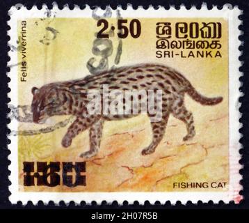 SRI LANKA - VERS 1981: Un timbre imprimé au Sri Lanka montre le chat de pêche, Prionailurus Viverrinus, est un chat sauvage de taille moyenne de l'ASI du Sud et du Sud-est Banque D'Images