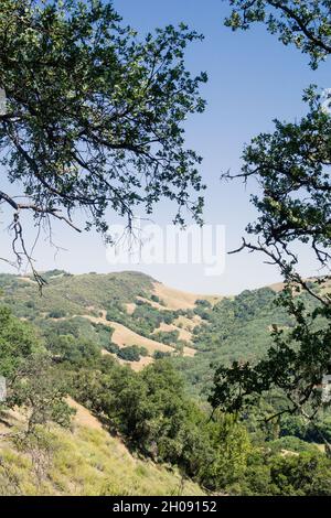 Vue sur les montagnes couvertes d'arbres de la réserve d'espace ouvert Rancho Canada del Oro, Californie. Banque D'Images