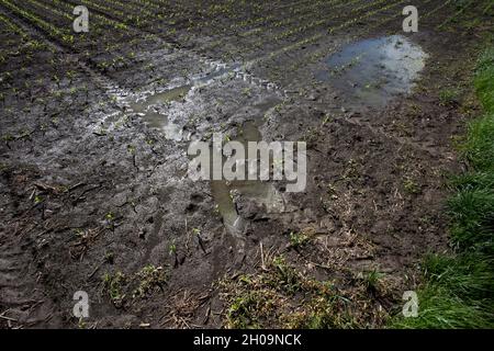 Image aérienne de terres inondées avec des récoltes après de fortes pluies, tirer à partir de drone Banque D'Images