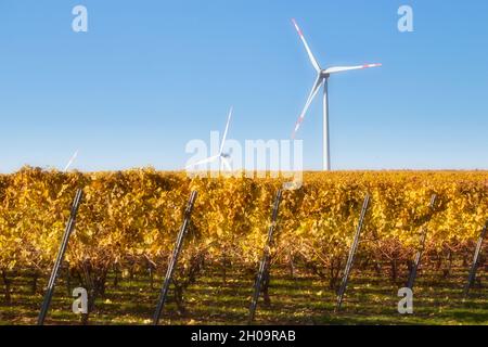 Éolienne contre un ciel bleu dominant des vignes avec des feuilles jaunes le jour de l'automne dans un vignoble allemand. Banque D'Images