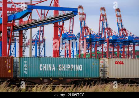 '24.06.2021, Allemagne, Hambourg, Hambourg - Chine expédition de conteneurs maritimes sur un train de marchandises dans le port de Hambourg devant des grues portuaires à la containe Banque D'Images