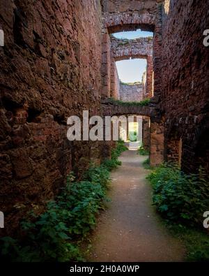 Les ruines au sommet d'une falaise du château de Slains datant du XVIe siècle, sur la côte sauvage de l'Aberdeenshire, près de la baie de Cruden, en Écosse Banque D'Images