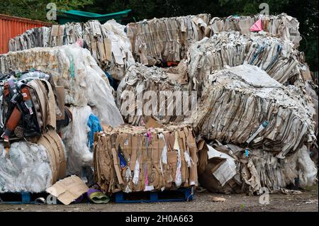 Déchets de papier et de carton Banque D'Images