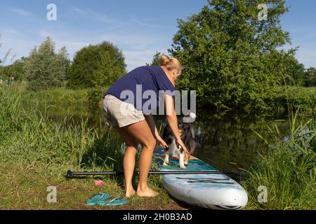 Une femme bronzée dans un t-shirt et un short.Elle prépare le panneau supérieur pour la voile.Son berger allemand est assis sur le paddle board. Animaux thèmes, Banque D'Images