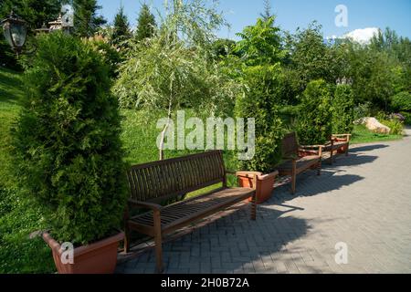 Un banc en bois se dresse entre les genévriers dans des pots de fleurs sur une allée dans un parc par une belle journée d'été. Banque D'Images